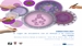  Encuentros Complutense Innovirology: un lugar de encuentro con el dibujo y la ciencia